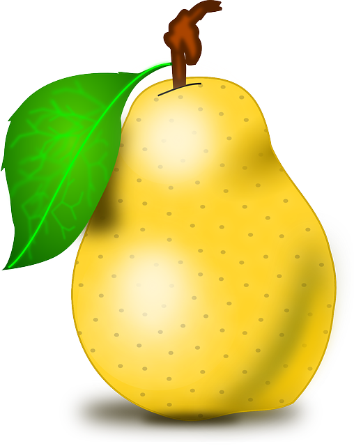 한국산 피부미용 과일 베스트