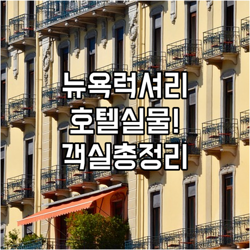 직접 확인한 뉴욕 럭셔리 호텔 투숙 ..