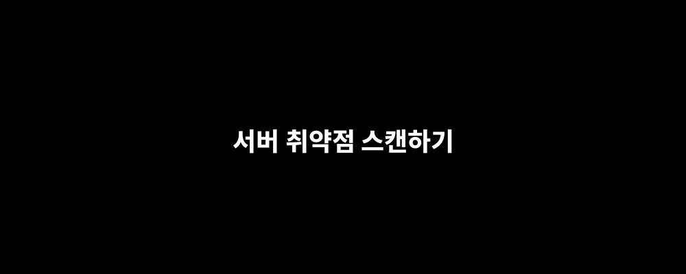 서버 취약점 스캔하기
