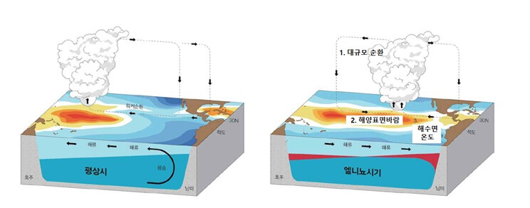 엘니뇨-해수면온도