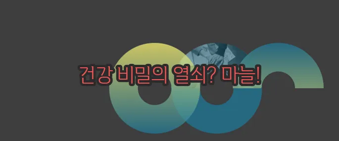 마늘 효능 한번 정확하게 알아보도록 하죠