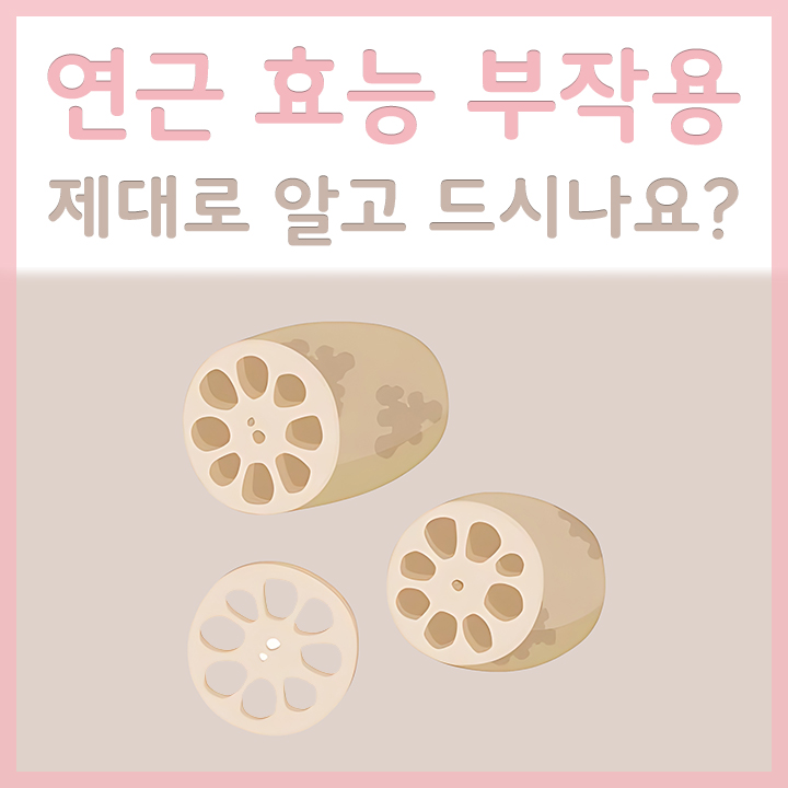 연근의-모습
