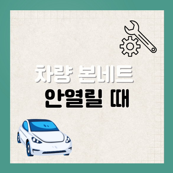 본네트 안 열릴 때 대처법