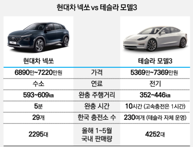 수소차와 전기차가 공존하는 미래, 어떤 자동차를 선택해야 할까?