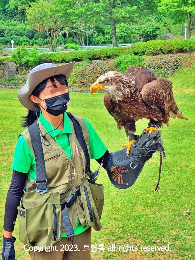 사육사 팔에 독수리가 앉아있다
