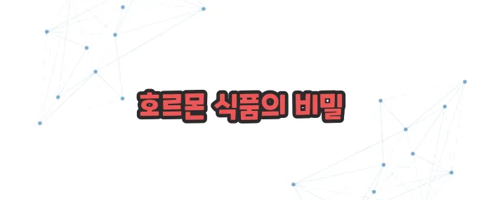 여성 호르몬이 많은 음식 이보다 자세히 설명할순없다