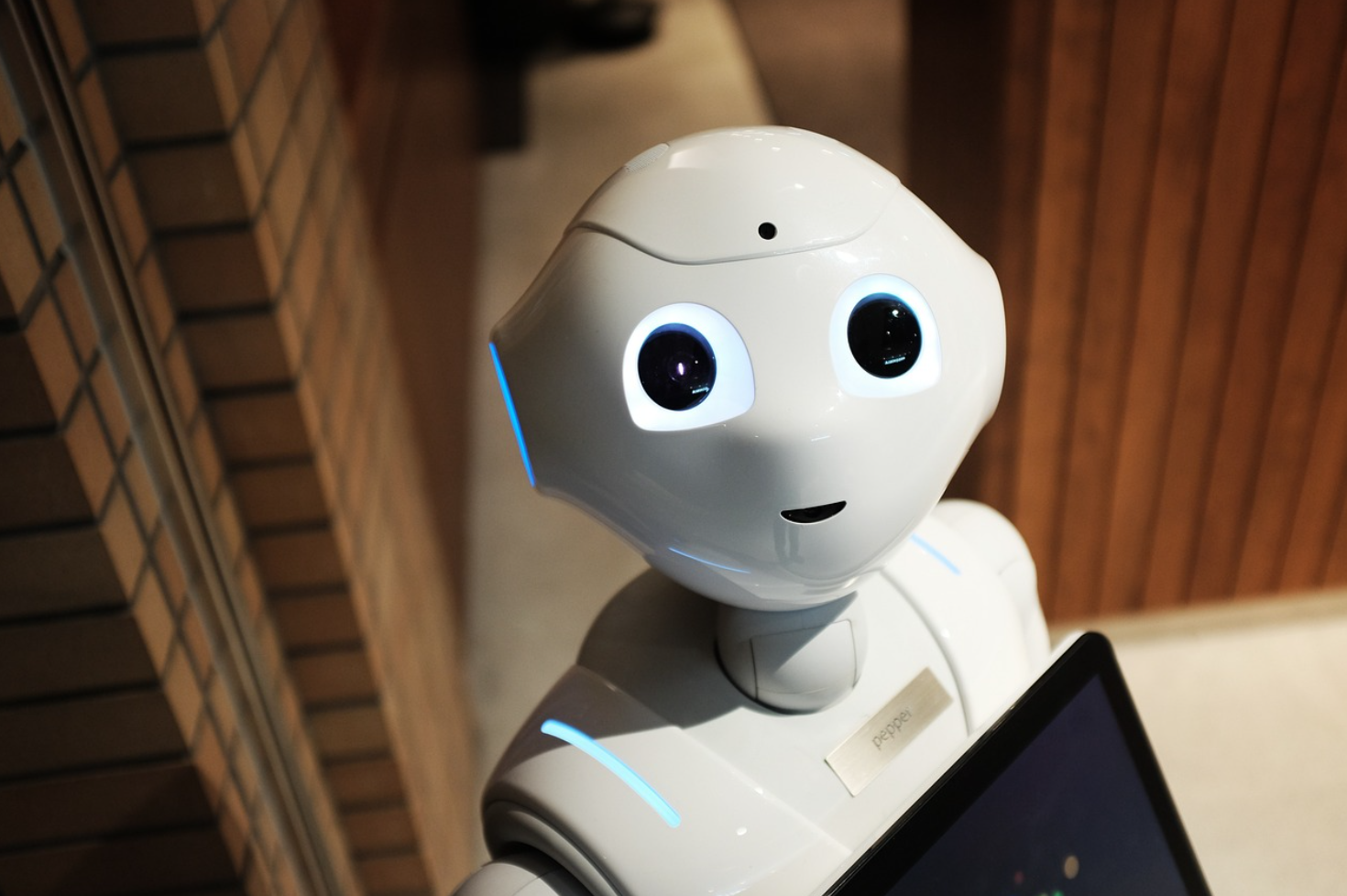 AI 시대, 인간의 역할은? 뜨는 직업과 사라지는 직업