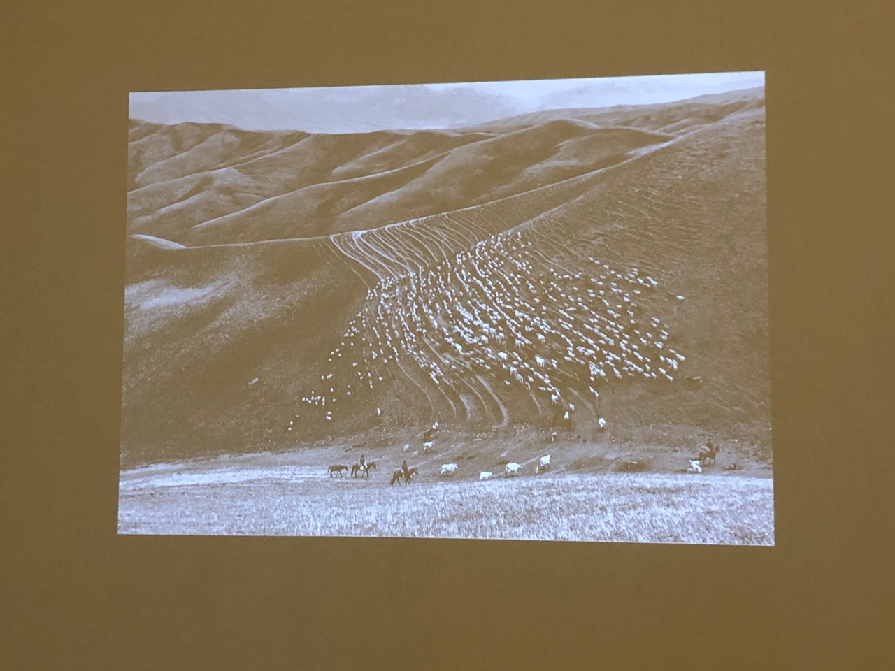 프레데릭-벅스의-사진작품