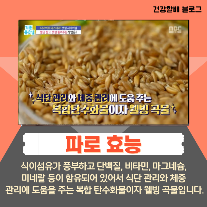 파로-효능