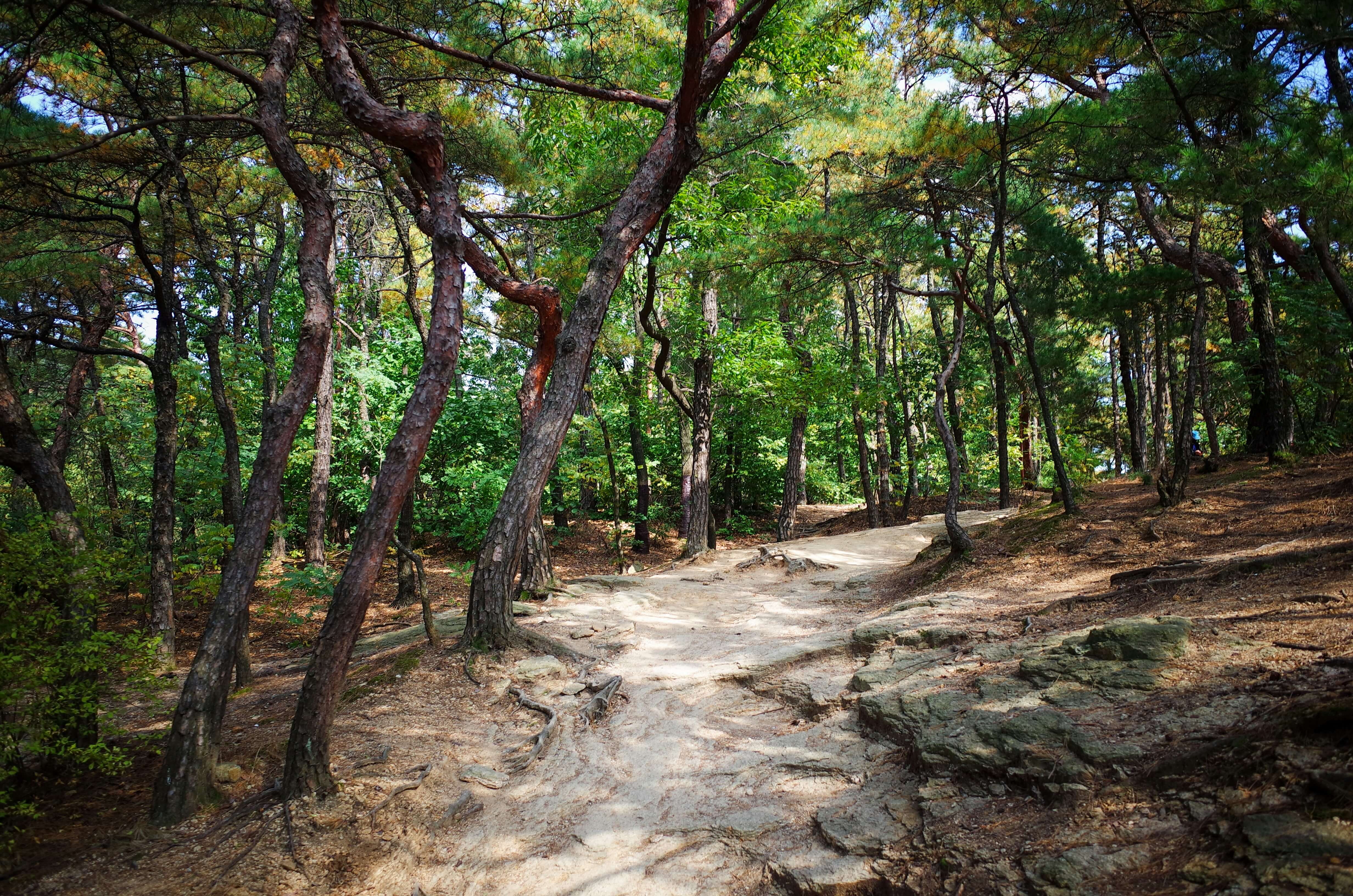 한국 100대명산 지도