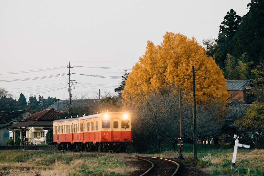 Train.schedule