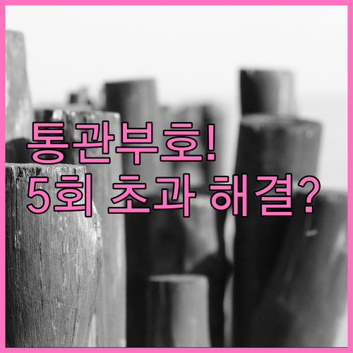 개인통관부호 정정 재발급 연 5회 제..