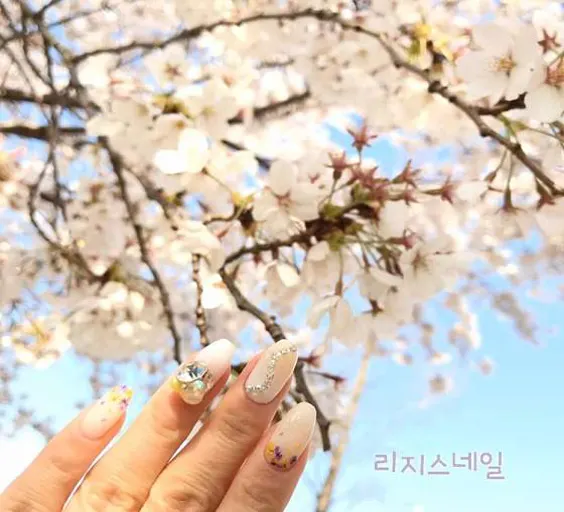 리지스네일