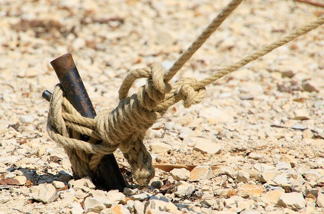 경기도 청년지원금