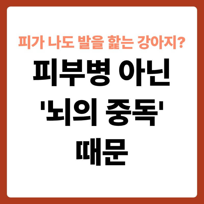 슬픈 눈을 한 강아지가 자신의 붉게 변한 앞발을 핥고 있는 모습을 클로즈업한 사진. 강아지의 머리 위와 발 주변으로 복잡하게 얽힌 신경망과 화학 기호(엔도르핀 복합체)가 반투명한 그래픽 요소로 겹쳐져 행동과 뇌의 연관성을 표현한 이미지