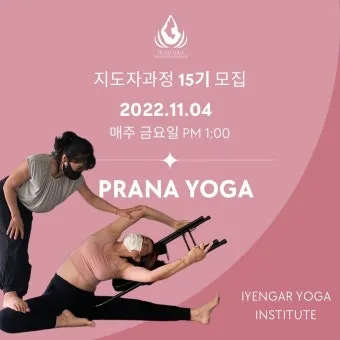 요가 지도자 자격 취득절차 수련시간 시험구성 강사활동_15