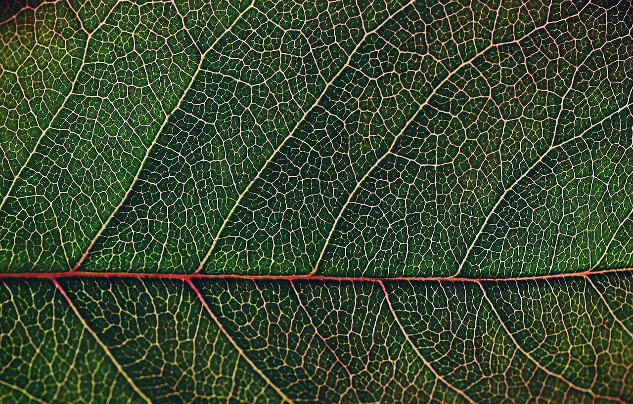 인공광합성의 100배 산업원료 생산