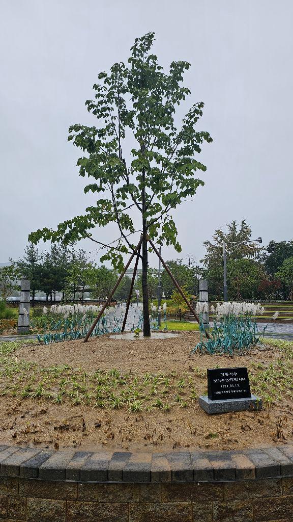 구미 가볼만한곳 베스트10