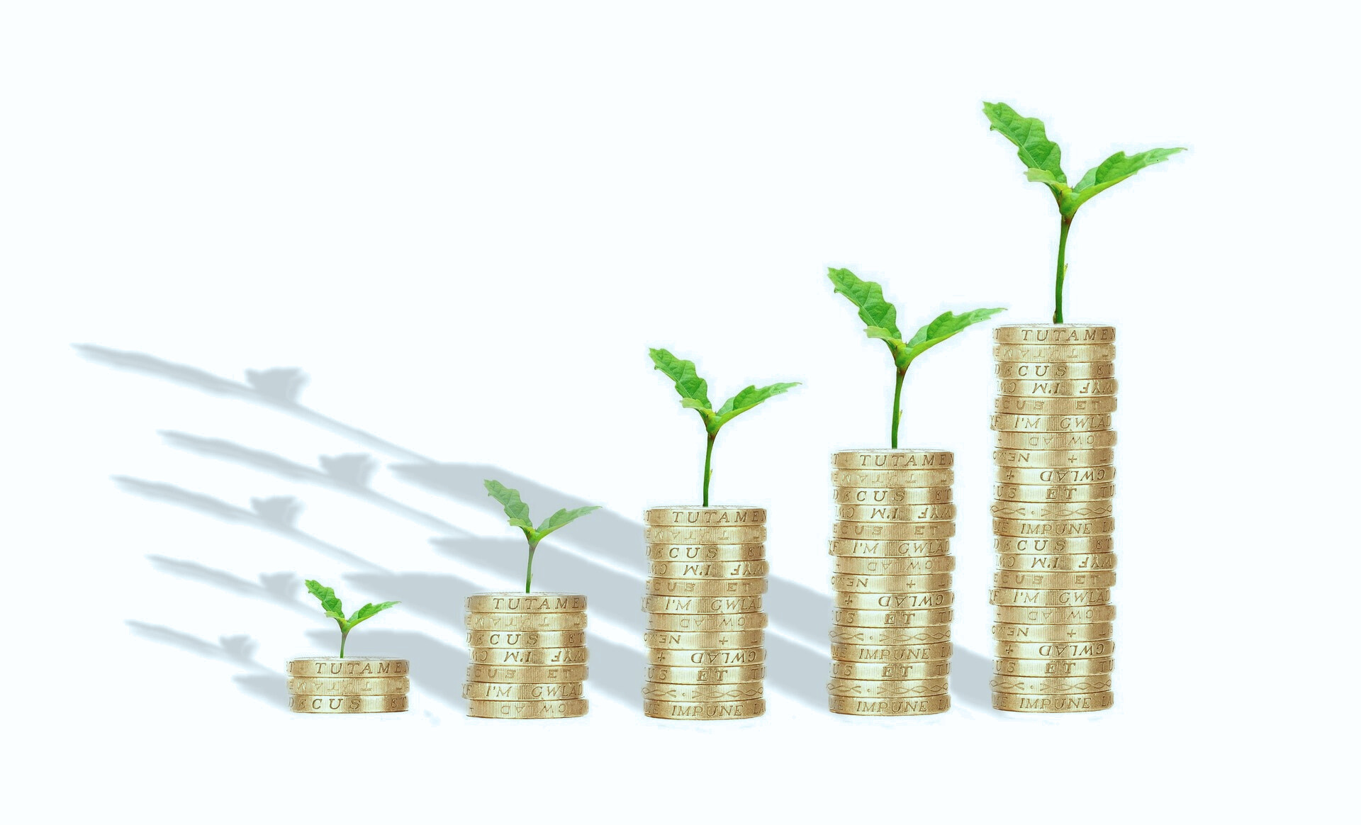 디지털 관련 사진