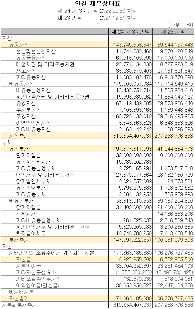텔레칩스 - 재무상태표