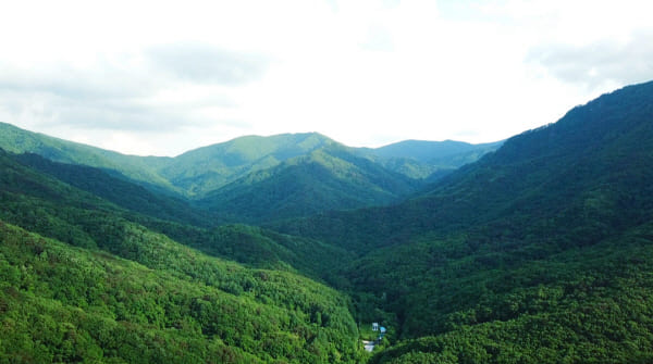산록
