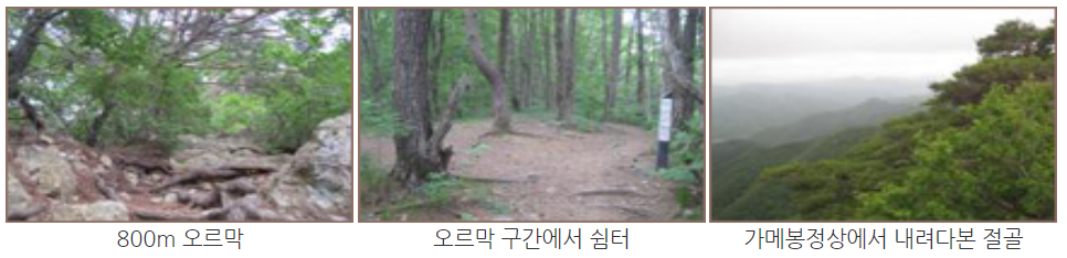주왕산 등산코스