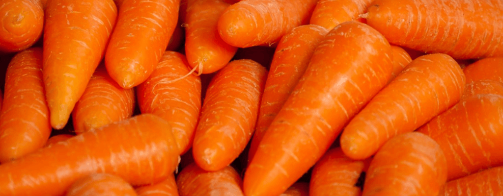 당근 효능적으로 먹는방법, 부작용 (세척당근)