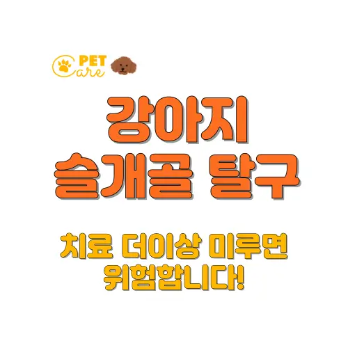 강아지 슬개골 탈수 썸네일