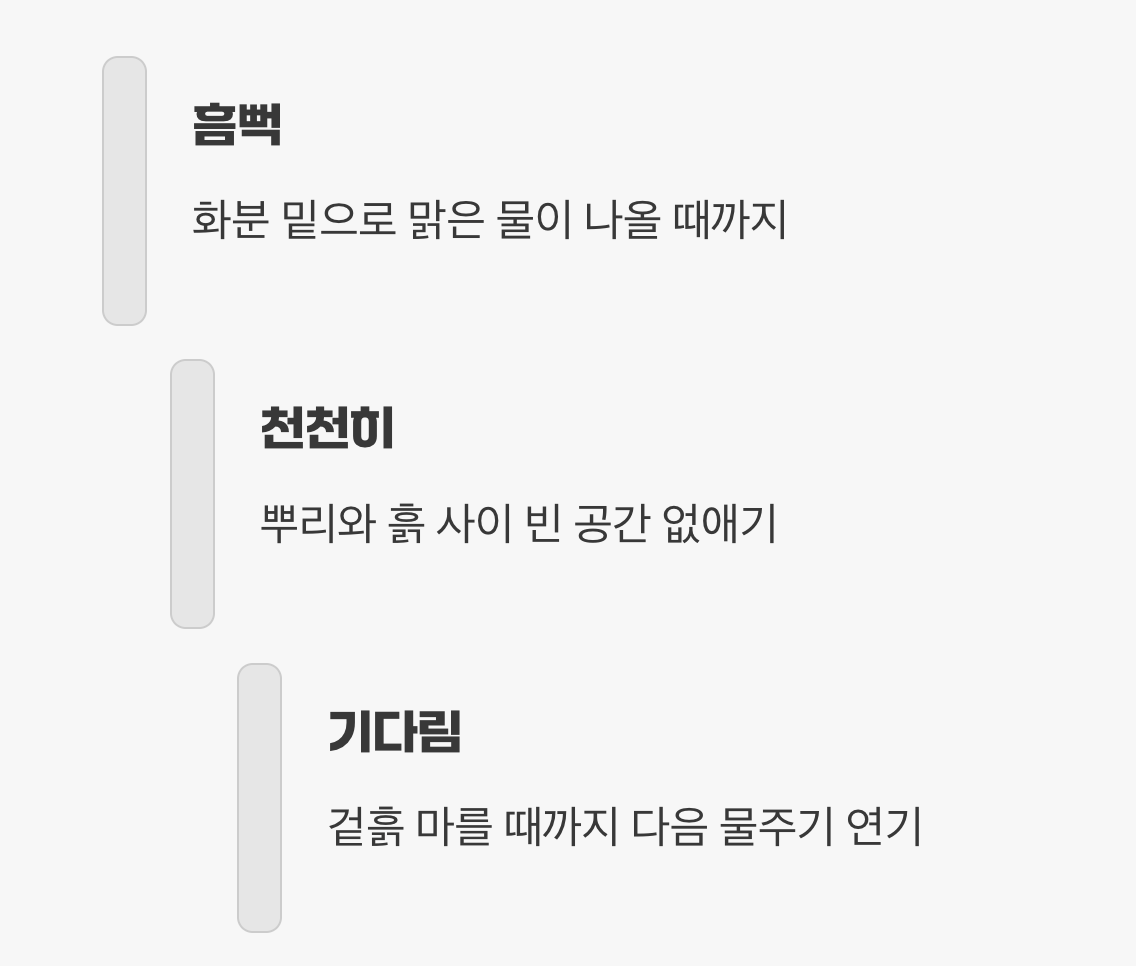 심고 난 후, 첫 물주기