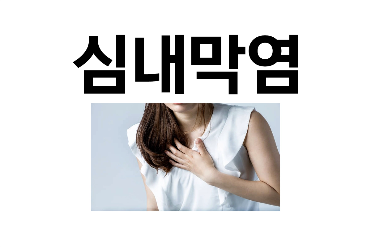 심내막염 원인 증상 치료 예방