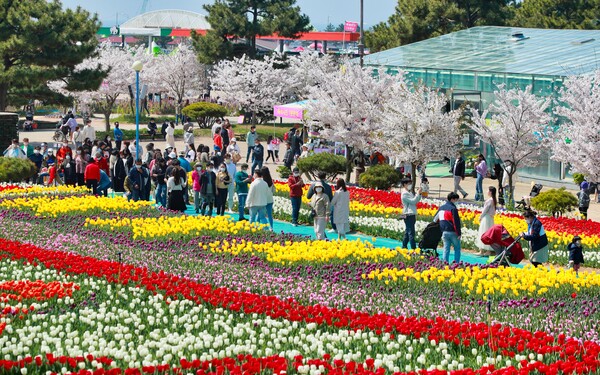 태안튤립축제 기간 장소 입장료 할인 주차장 맛집 방포항길