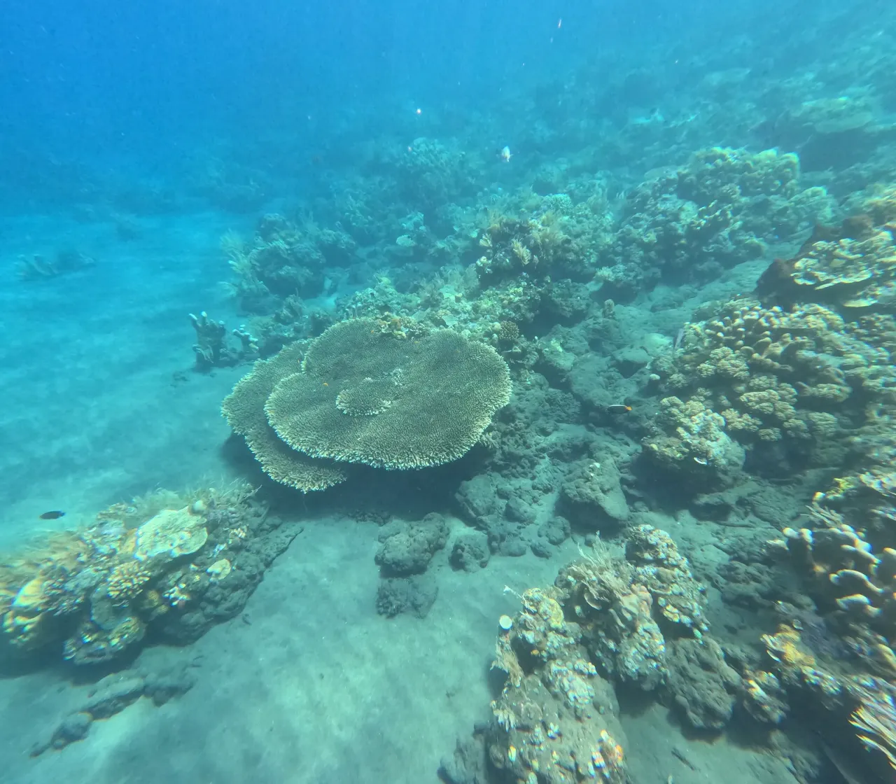 즈믈럭 비치 물속