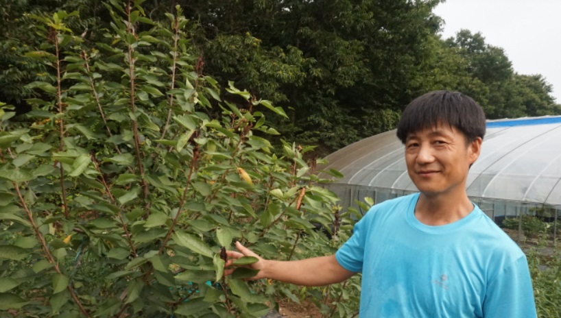 하동-열대과일-농장-박철경-열대정글농장