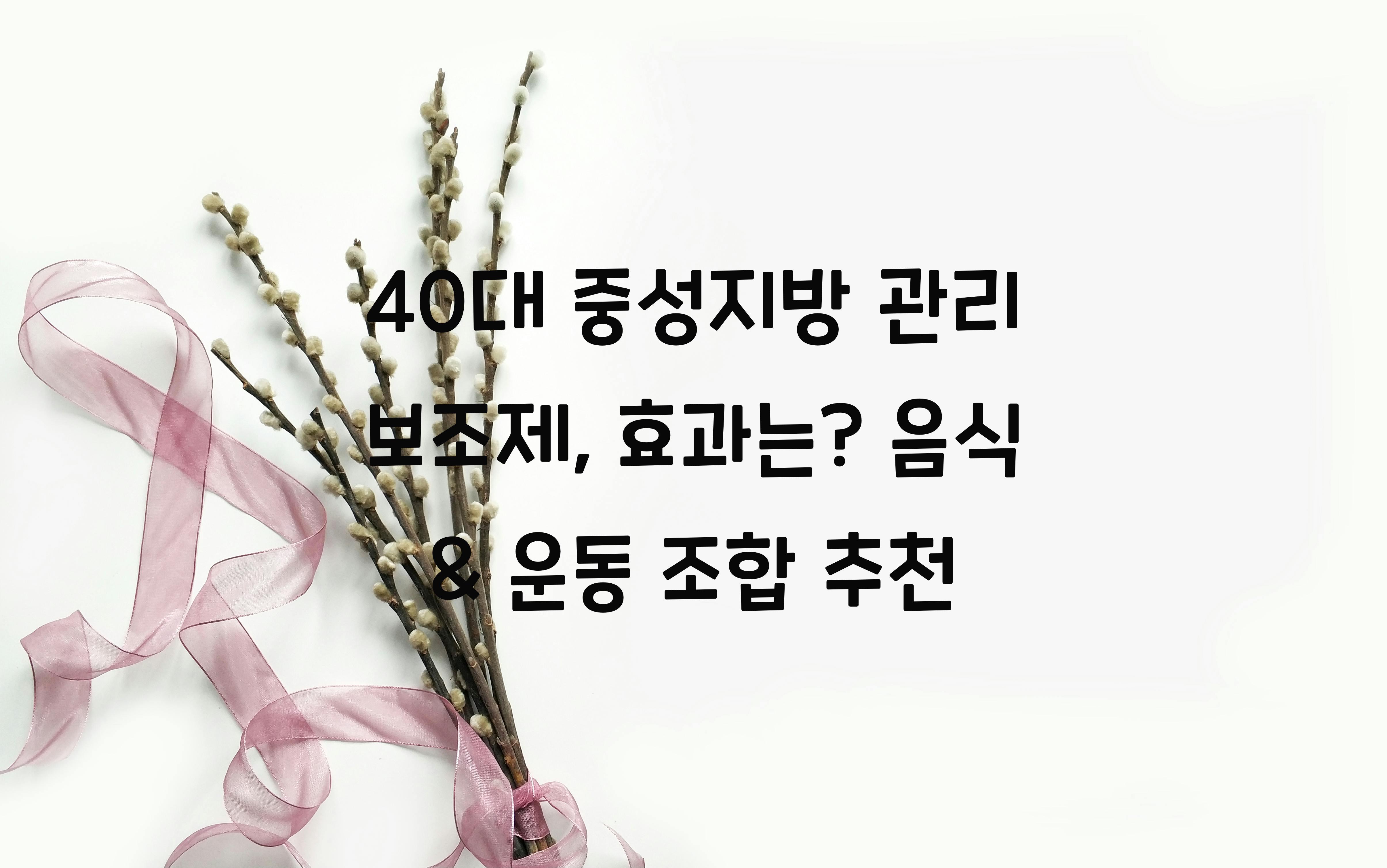 40대 중성지방 관리 보조제