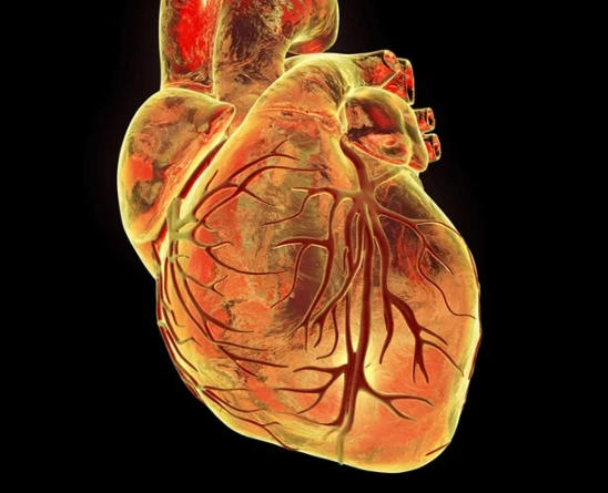 루푸스병 이란&amp;#44; 증상 및 치료 전략까지 한눈에