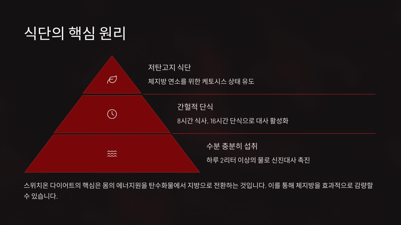 스위치온 다이어트 2