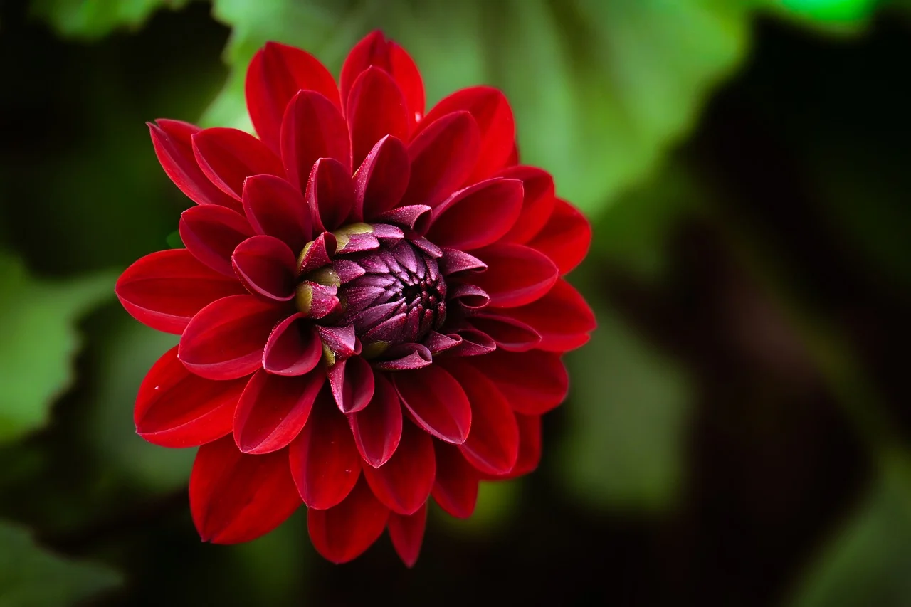 전통 채색화 재료