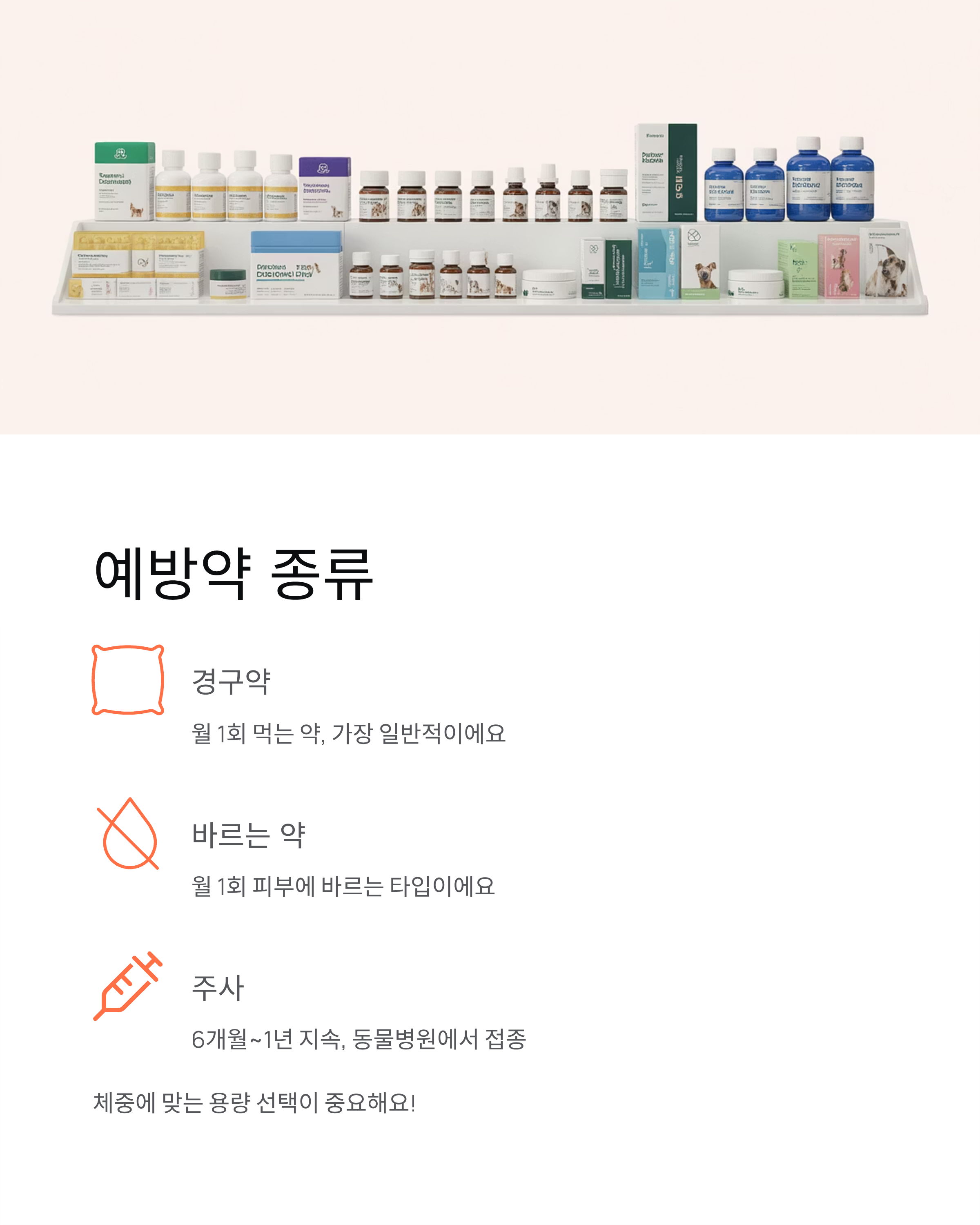 강아지 심장사상충 ❤️ 증상·예방약·치료 완벽 가이드!