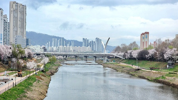 안양천 상류