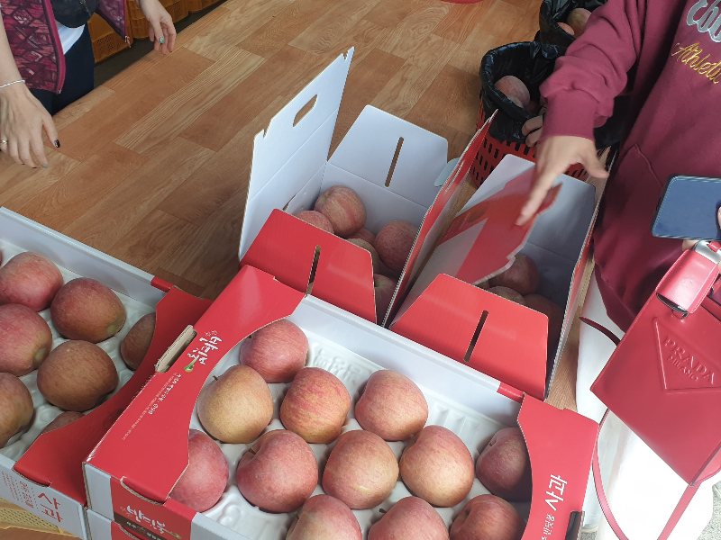 판매 중인 사과 박스들이 보인다. 스티로폴에 정성껏 놓은 사과와 박스에 그냥 넣은 사과 두 종