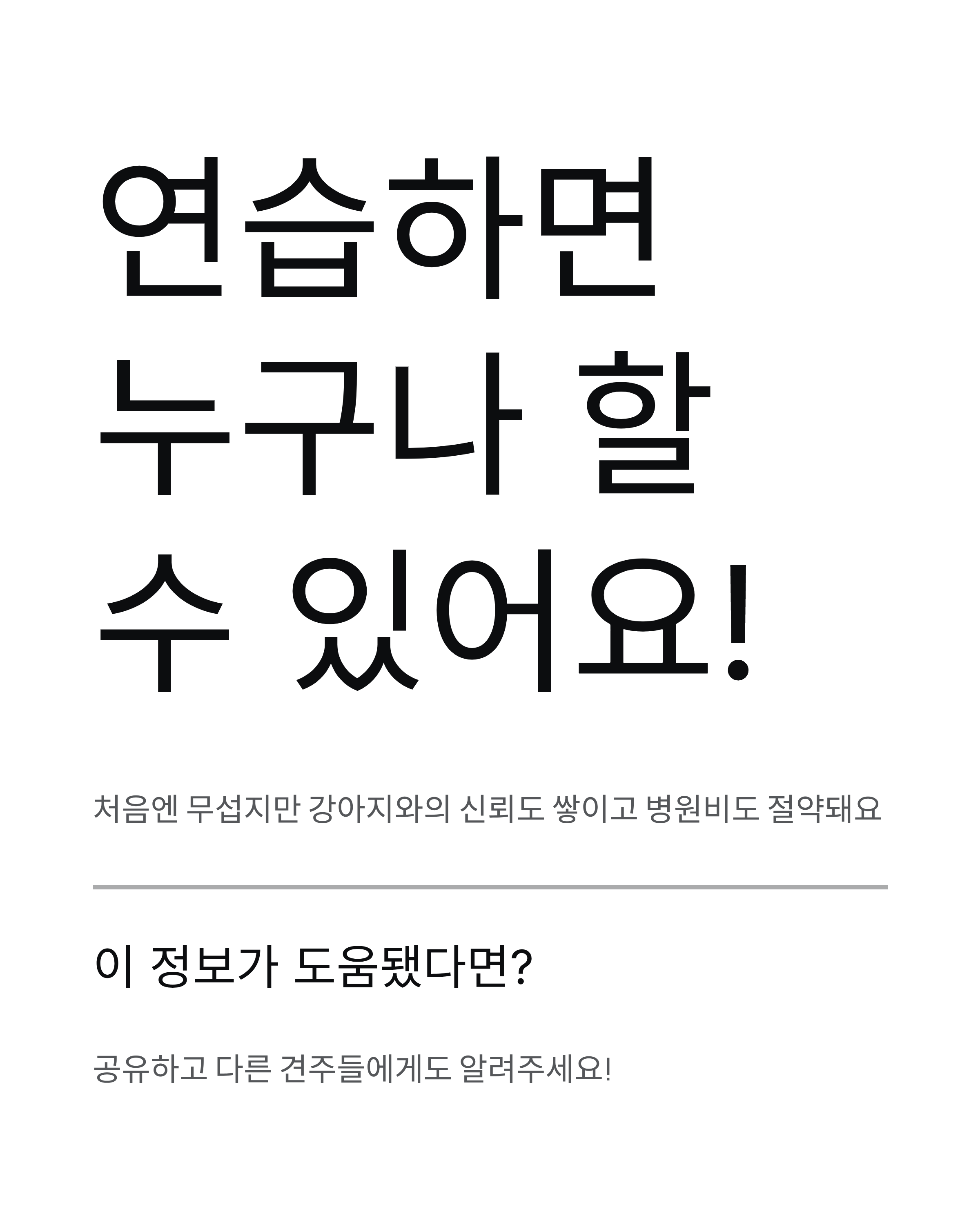 강아지 발톱깎기 ❘ 방법 주기 혈관 지혈 집에서 안전하게 자르는법 총정리