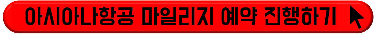 아시아나항공 사이트 연결 버튼