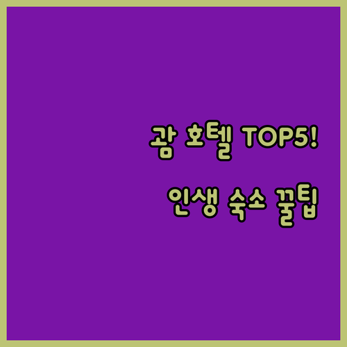 괌 호텔 5곳 위치 가격대별 완벽 비..