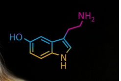 불면제 영양제 성분 - 멜라토닌