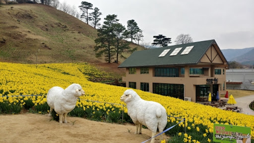 3월 국내 여행지 추천