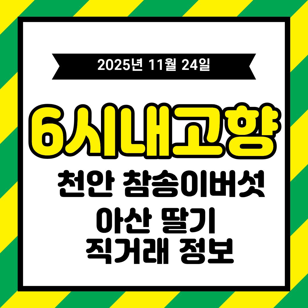6시 내고향 11월 24일 방송 정리 – 천안 참송이버섯 · 아산 딸기 직거래 정보