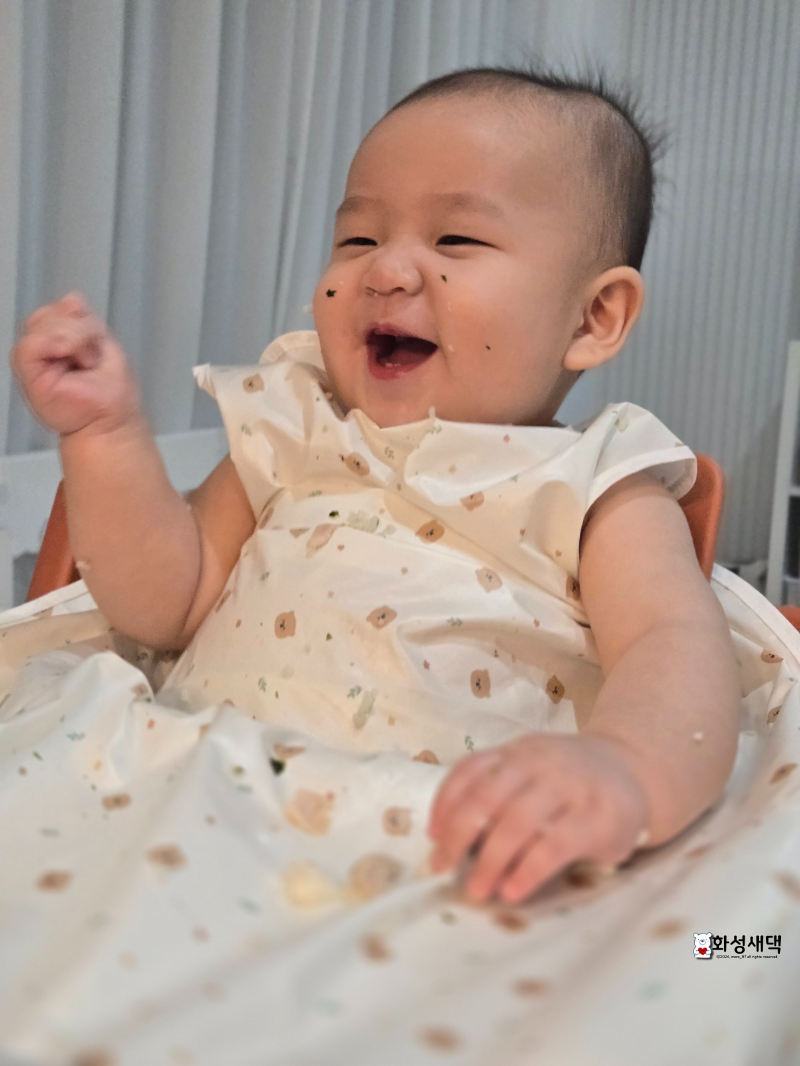 자기주도-이유식