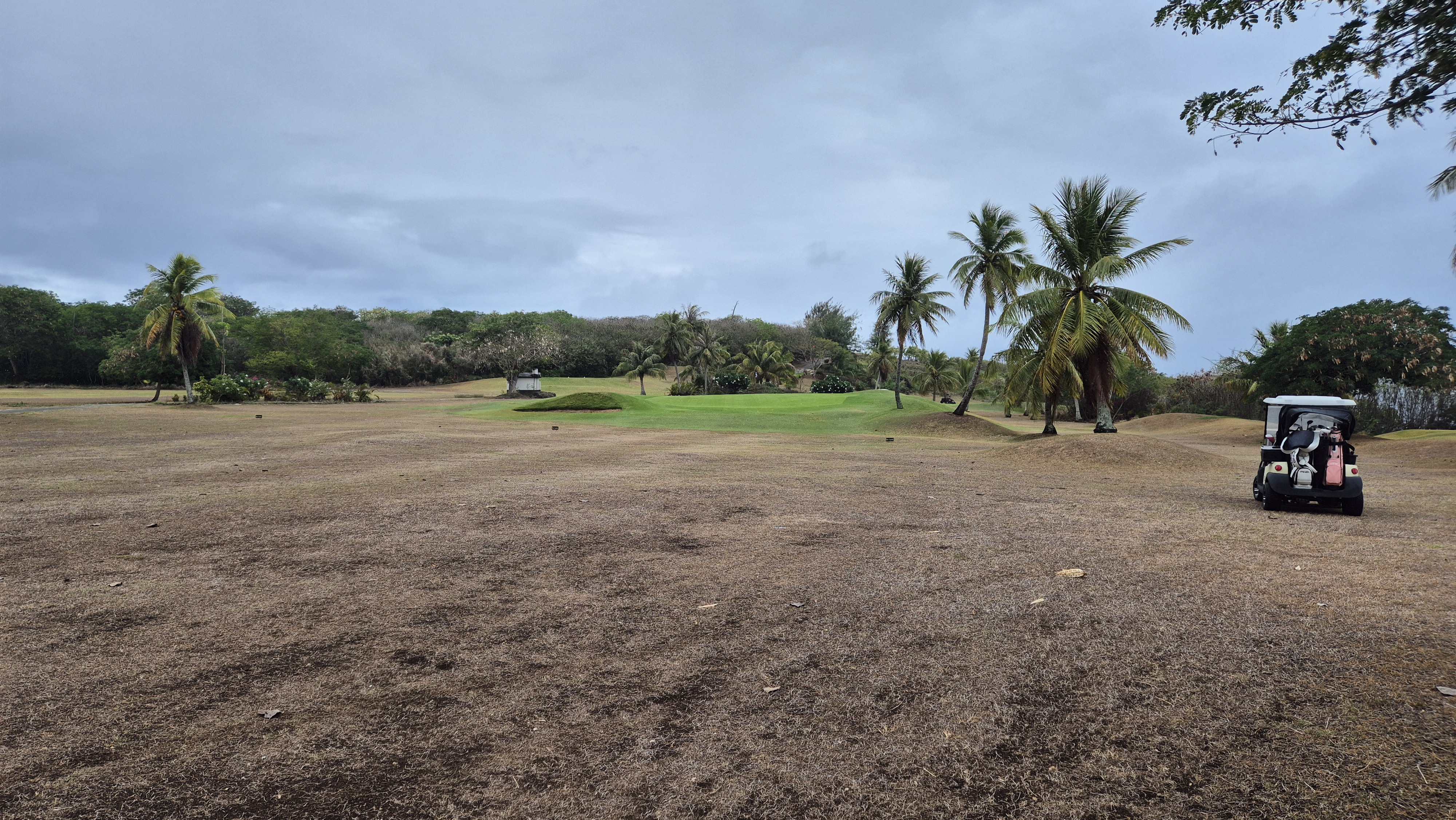 사이판 코랄오션cc