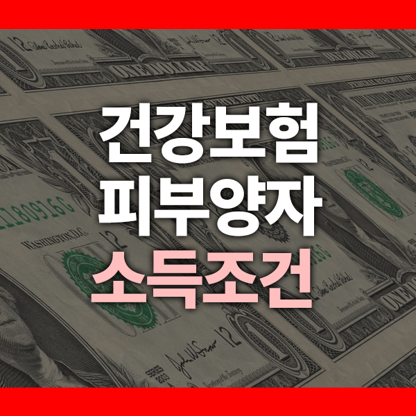 건강보험 피부양자 소득조건 이렇게 바뀌었다! 기준금액 초과 시 대처법까지