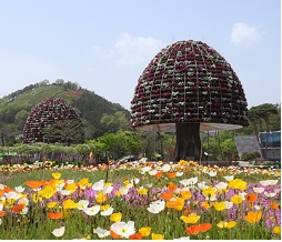 어버이날 선물 추천 best 5 사실 1위 하나면 올해는 준비 끝!